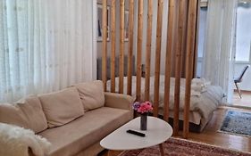 New Lovely Full Of Light Ap In Tirana
